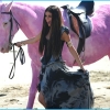 A PETA ellenzi Selena Gomez rózsaszín lovait