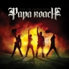 Az új Papa Roach-albumról