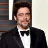 Benicio Del Toro Cannes-ben „elnököl”