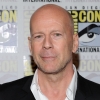 Bruce Willis elviselhetetlen kolléga