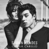 Camila Cabello hallotta elsőként Shawn Mendes dalait