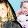 Disznói miatt nem fog turnézni Miley Cyrus