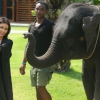 Elefánt ijesztett Kim Kardashianra