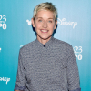 Ellen DeGeneres hosszú levélben kért bocsánatot alkalmazottaitól