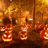Légy kreatív! Íme, a legjobb halloweeni tökminták!