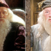 Harry Potter-szereplők, akiket a forgatás alatt lecseréltek