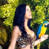 Klippremier: Katy Perry — Roar