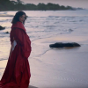 Klippremier: Lorde – Perfect Places