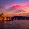 Még sosem láttuk ilyen szépnek Budapestet! Nézd meg a magyar fotós lélegzetelállító képeit!