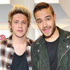 Niall Horan érzelmes új dalt adott ki Liam Payne halála utáni gyászról