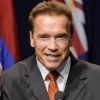 Schwarzenegger bánja félrelépését