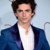 Timothée Chalamet a hasonmásai versenyén jelent meg