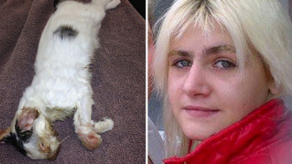 14 hónap börtönt kapott a macskáját megmikrózott nő