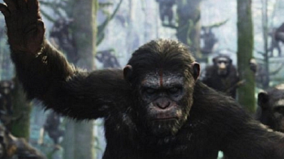 Tarolt a mozikban A majmok bolygója – Forradalom