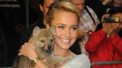 Cuki! Kisfarkast ölelget Hayden Panettiere