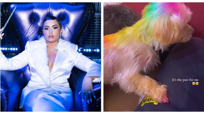 Demi Lovato szivárványosra festette a kiskutyáját