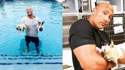 Elhunyt házi kedvencét gyászolja Dwayne Johnson