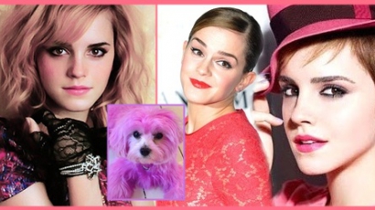 Emma Watson rózsaszín kutyával nyomul