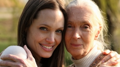 Jane Goodall és Angelina Jolie közös filmben