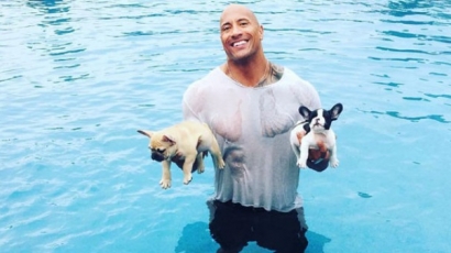 Kiskutyákat mentett meg a vízbe fulladástól Dwayne Johnson