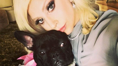 Megdöbbentő! Ellopták Lady Gaga két kutyáját: meglőtték a kutyasétáltatóját fényes nappal!