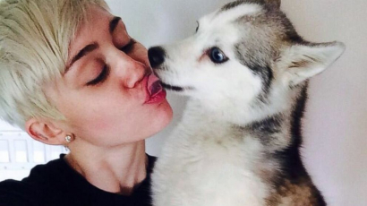 Miley Cyrus: „Ha húst eszel, nem szereted az állatokat!”