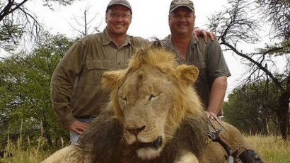 Rászállt az internet az oroszlánvadász fogorvosra