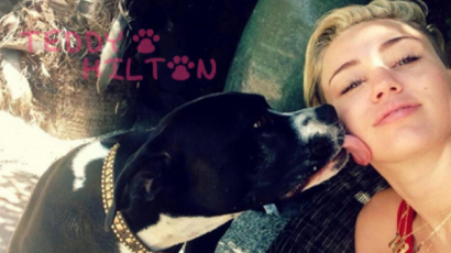 Szomorú hírt osztott meg Miley Cyrus: újabb kutyáját vesztette el