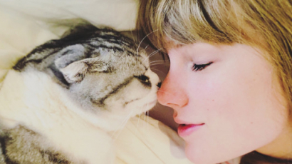 Taylor Swift elmesélte, hogyan szerezte legújabb cicáját