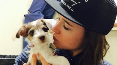 Tündéri kiskutyát fogadott örökbe Ellen Page