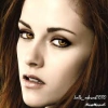 BellaSwan5