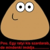 Szintike Kovács
