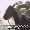 mary002