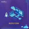 bizflycdn