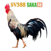 SV388SAKA88