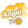 angelpro_vn