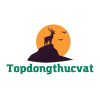 topdongthucvat