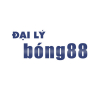 dailybong88