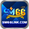 sm66link