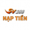 naptiendagasv388