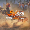 sv388beting