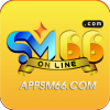 appsm66