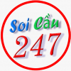 soicau247net