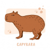 thecapybaraxyz