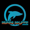 dolphinsstore