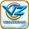 vz99company