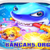 bancah5org