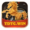 tdtcwin2