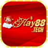 hay88tech