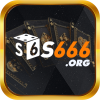 S689ORG